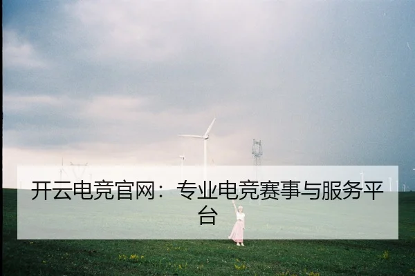 开云电竞官网：专业电竞赛事与服务平台