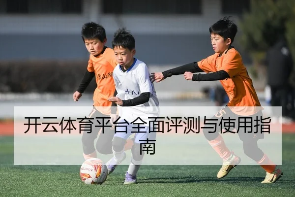 开云体育平台全面评测与使用指南