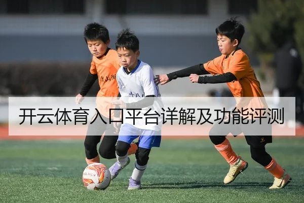 开云体育入口平台详解及功能评测