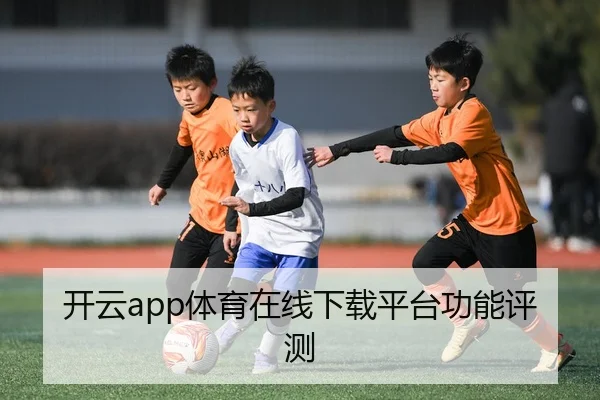 开云app体育在线下载平台功能评测